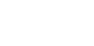 Flyte mobile logo
